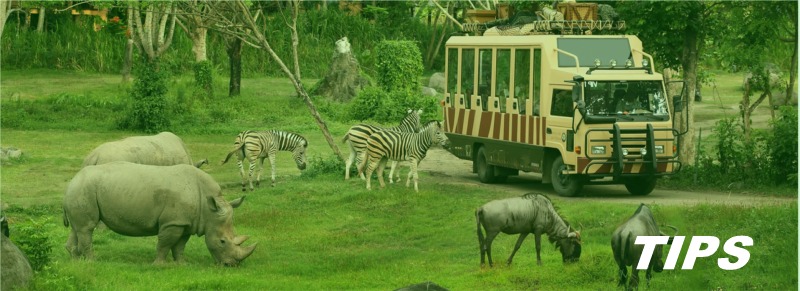 Afrika safari TIPS